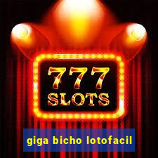 giga bicho lotofacil